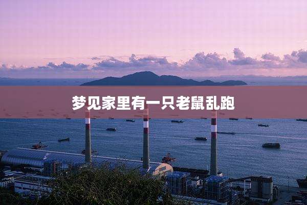 梦见家里有一只老鼠乱跑