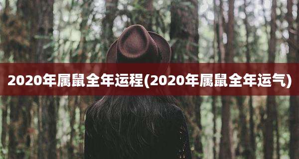 2020年属鼠全年运程(2020年属鼠全年运气)