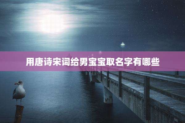 用唐诗宋词给男宝宝取名字有哪些