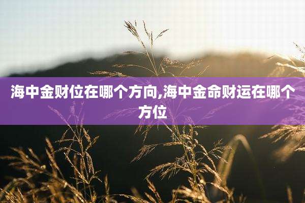 海中金财位在哪个方向,海中金命财运在哪个方位