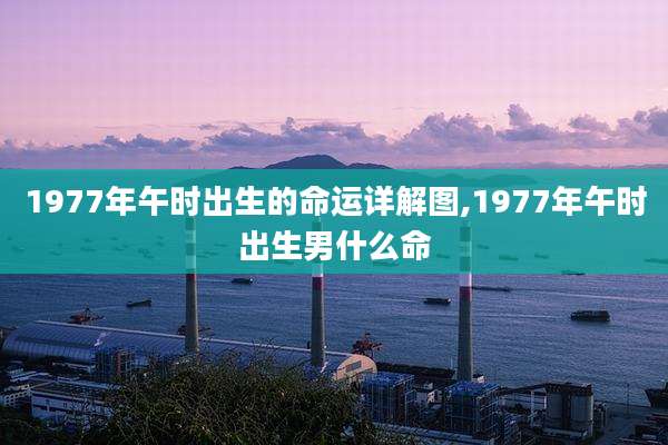 1977年午时出生的命运详解图,1977年午时出生男什么命