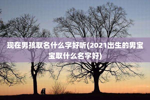 现在男孩取名什么字好听(2021出生的男宝宝取什么名字好)