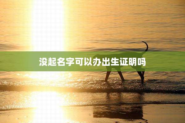 没起名字可以办出生证明吗