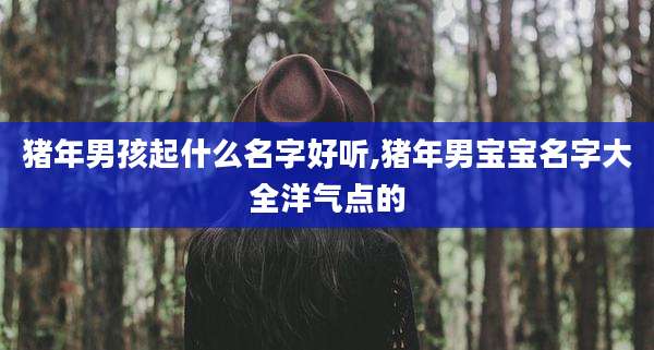 猪年男孩起什么名字好听,猪年男宝宝名字大全洋气点的
