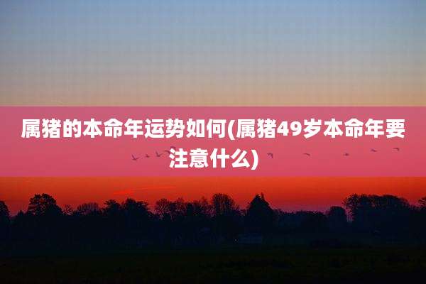 属猪的本命年运势如何(属猪49岁本命年要注意什么)