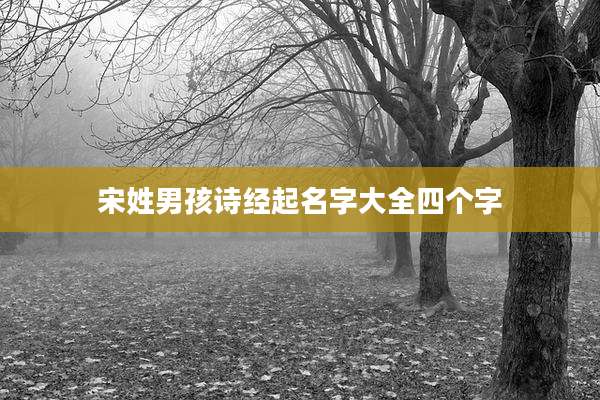 宋姓男孩诗经起名字大全四个字