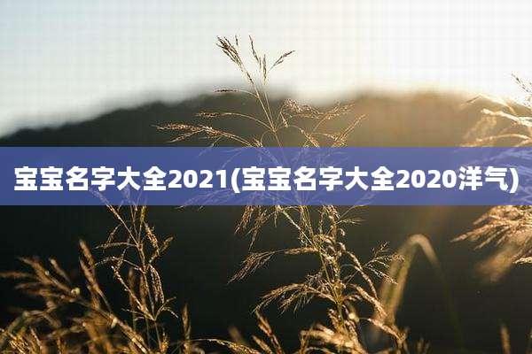 宝宝名字大全2021(宝宝名字大全2020洋气)