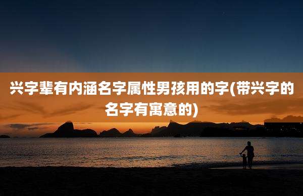 兴字辈有内涵名字属性男孩用的字(带兴字的名字有寓意的)