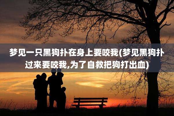 梦见一只黑狗扑在身上要咬我(梦见黑狗扑过来要咬我,为了自救把狗打出血)