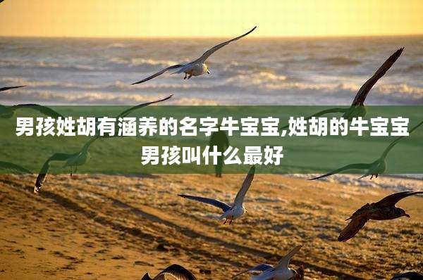 男孩姓胡有涵养的名字牛宝宝,姓胡的牛宝宝男孩叫什么最好