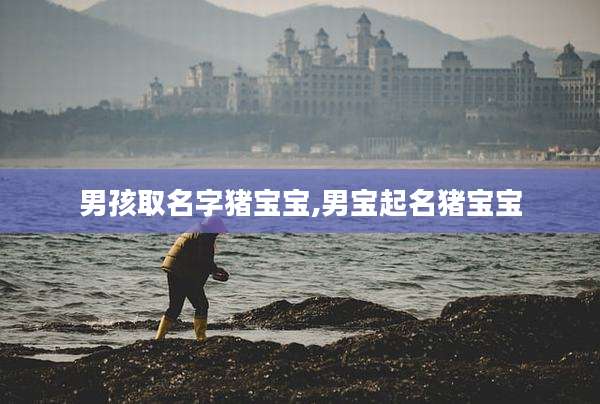 男孩取名字猪宝宝,男宝起名猪宝宝