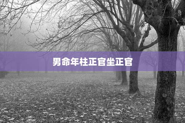 男命年柱正官坐正官