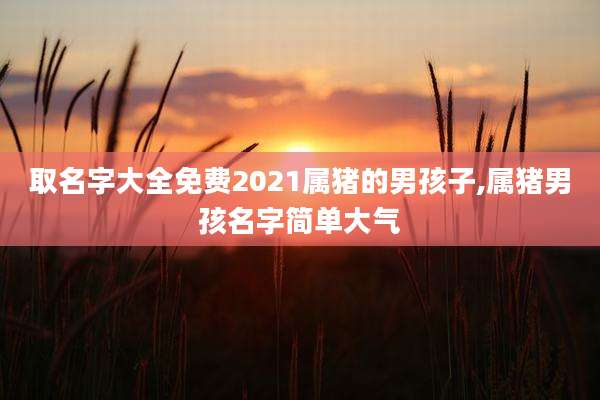 取名字大全免费2021属猪的男孩子,属猪男孩名字简单大气