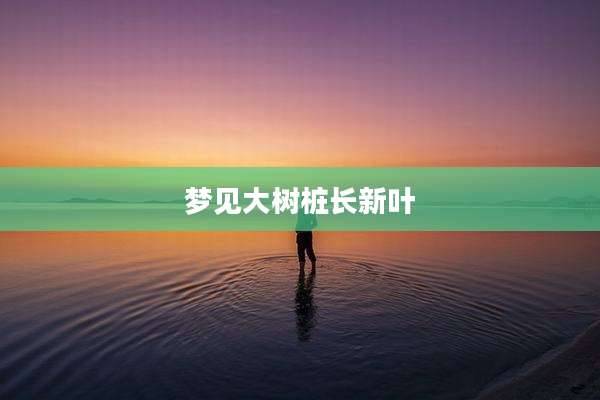 梦见大树桩长新叶