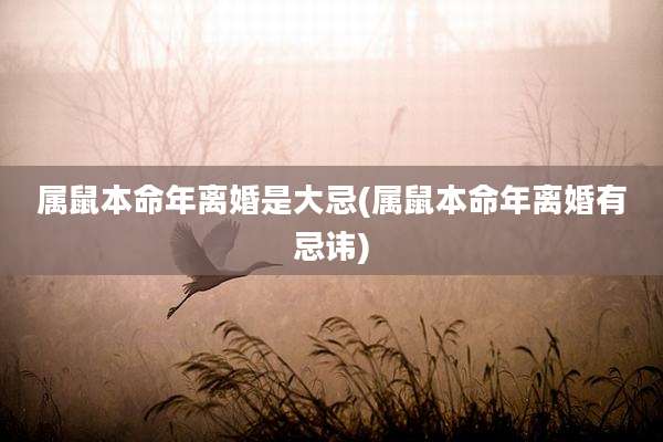 属鼠本命年离婚是大忌(属鼠本命年离婚有忌讳)