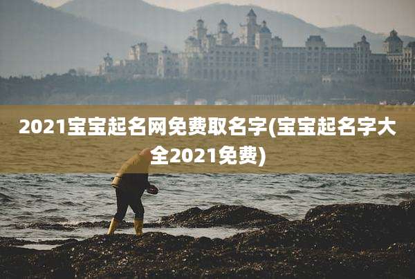 2021宝宝起名网免费取名字(宝宝起名字大全2021免费)