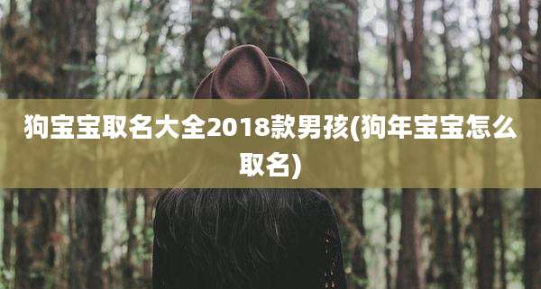 狗宝宝取名大全2018款男孩(狗年宝宝怎么取名)