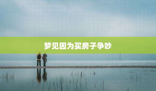 梦见因为买房子争吵