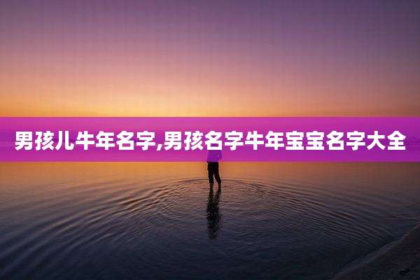男孩儿牛年名字,男孩名字牛年宝宝名字大全