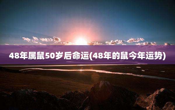 48年属鼠50岁后命运(48年的鼠今年运势)