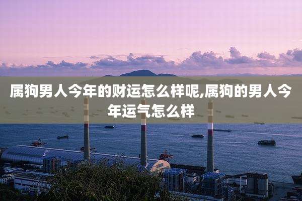 属狗男人今年的财运怎么样呢,属狗的男人今年运气怎么样