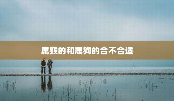 属猴的和属狗的合不合适