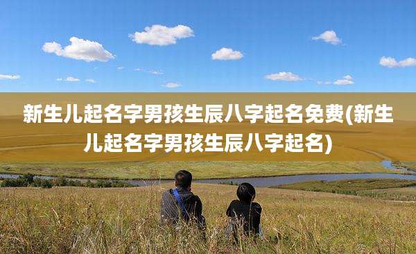新生儿起名字男孩生辰八字起名免费(新生儿起名字男孩生辰八字起名)