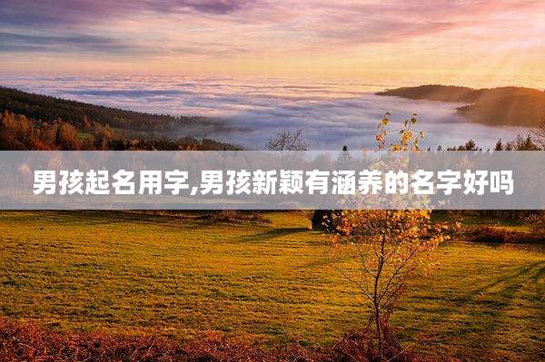 男孩起名用字,男孩新颖有涵养的名字好吗