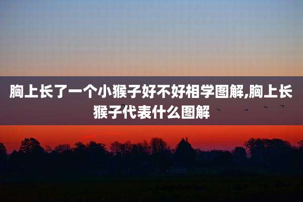 胸上长了一个小猴子好不好相学图解,胸上长猴子代表什么图解