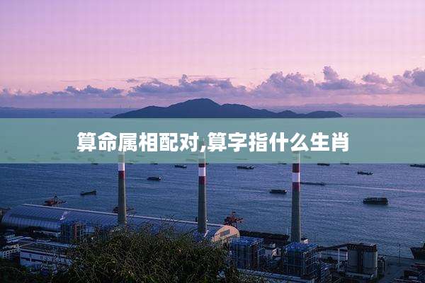 算命属相配对,算字指什么生肖