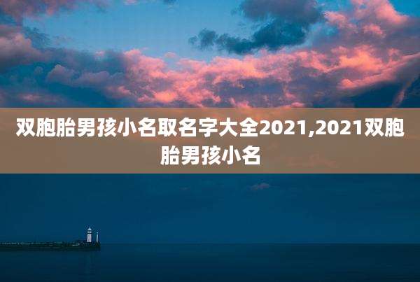 双胞胎男孩小名取名字大全2021,2021双胞胎男孩小名
