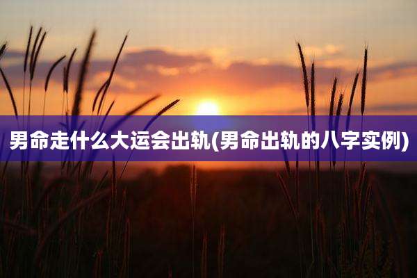 男命走什么大运会出轨(男命出轨的八字实例)