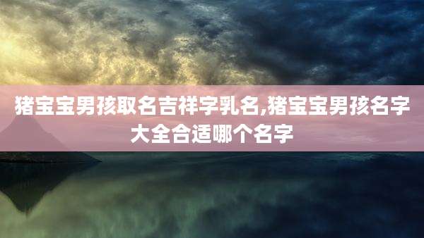 猪宝宝男孩取名吉祥字乳名,猪宝宝男孩名字大全合适哪个名字