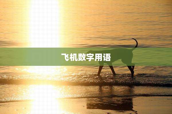 飞机数字用语