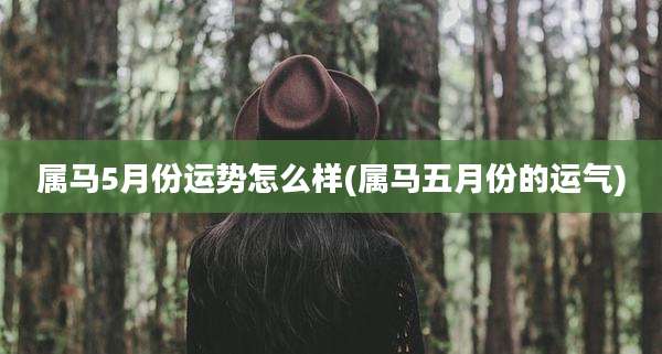 属马5月份运势怎么样(属马五月份的运气)