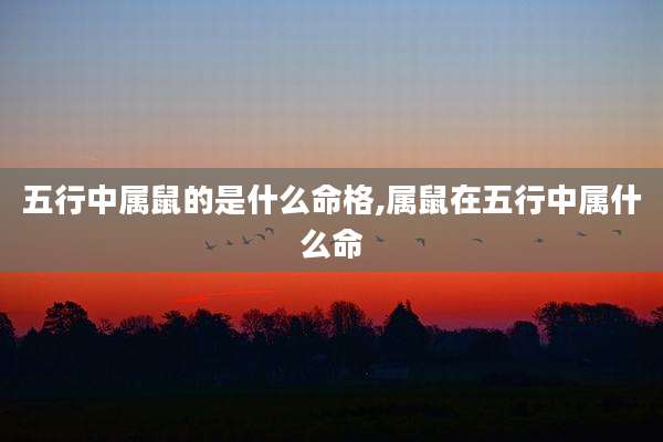 五行中属鼠的是什么命格,属鼠在五行中属什么命
