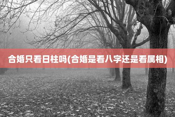 合婚只看日柱吗(合婚是看八字还是看属相)