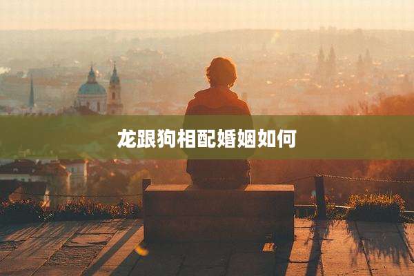龙跟狗相配婚姻如何
