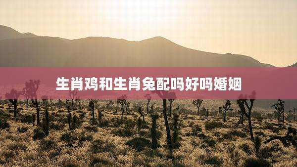 生肖鸡和生肖兔配吗好吗婚姻