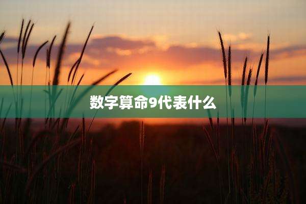 数字算命9代表什么