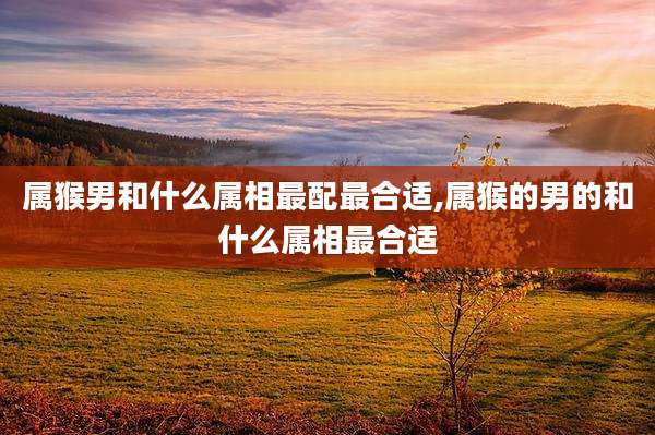 属猴男和什么属相最配最合适,属猴的男的和什么属相最合适