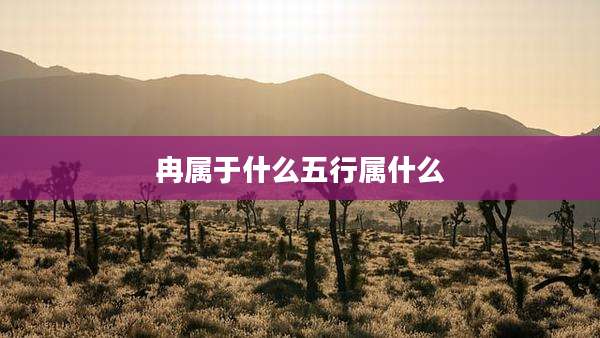 冉属于什么五行属什么