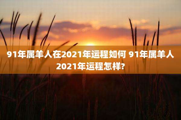 91年属羊人在2021年运程如何 91年属羊人2021年运程怎样?