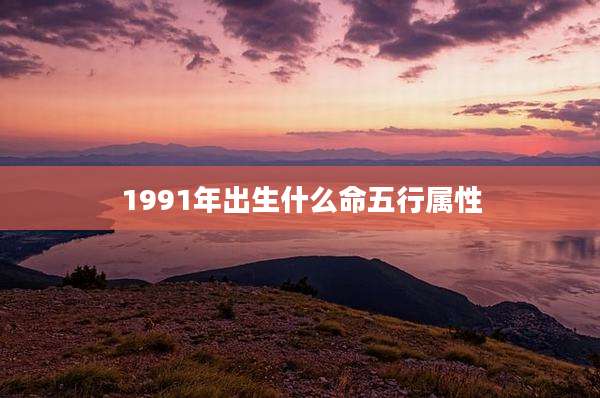 1991年出生什么命五行属性