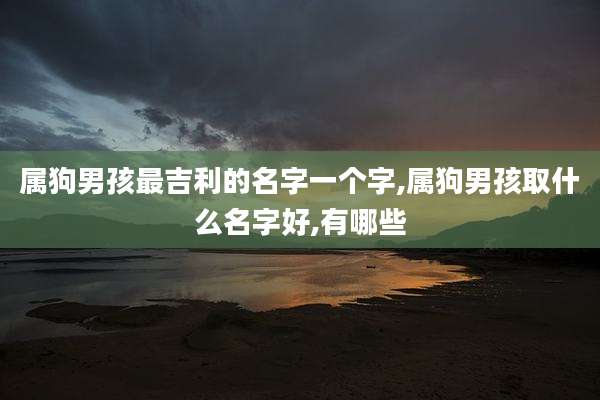 属狗男孩最吉利的名字一个字,属狗男孩取什么名字好,有哪些