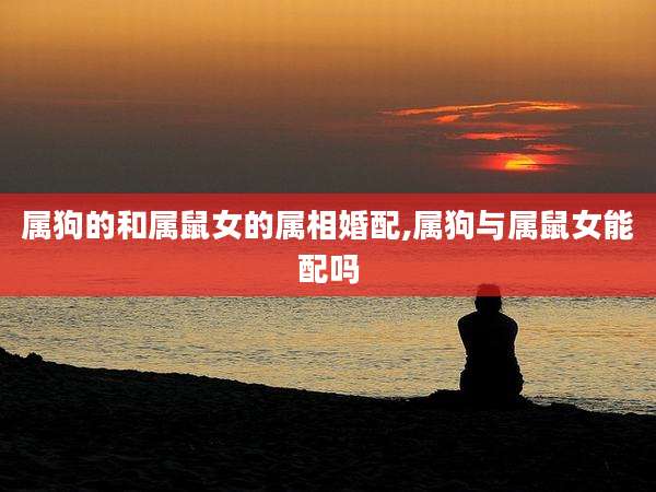 属狗的和属鼠女的属相婚配,属狗与属鼠女能配吗