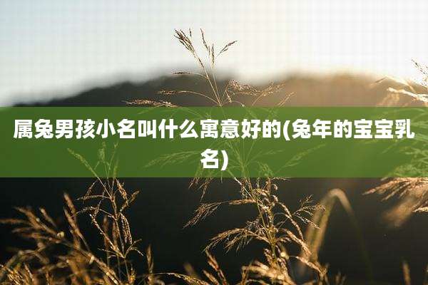 属兔男孩小名叫什么寓意好的(兔年的宝宝乳名)