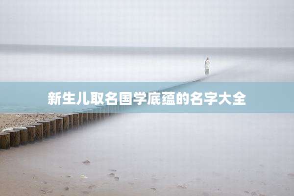新生儿取名国学底蕴的名字大全