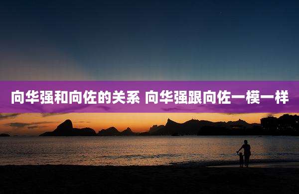 向华强和向佐的关系 向华强跟向佐一模一样