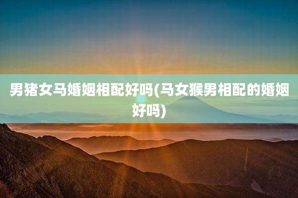 男猪女马婚姻相配好吗(马女猴男相配的婚姻好吗)